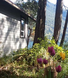 Lake Crescent Cabin in spring - lodging available year round in Olympic National Park
